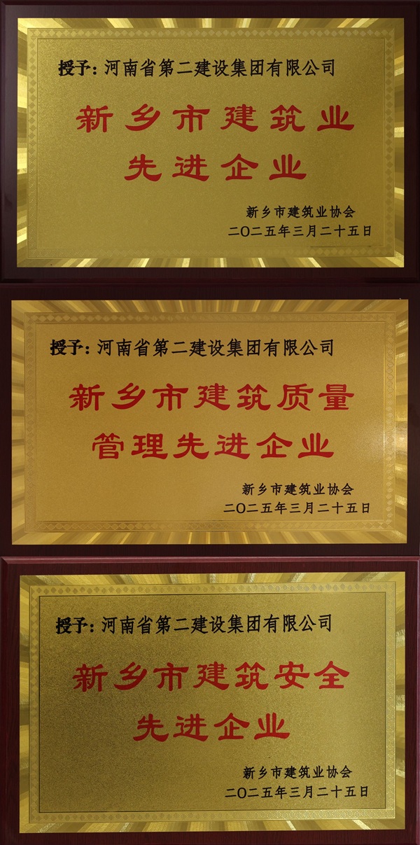 半岛买球官网奖牌拼图.jpg